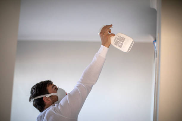Best Insurance-Related Mold Remediation in Trenton, GA