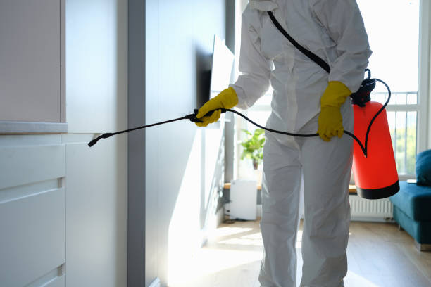 Best Commercial Mold Remediation in Trenton, GA