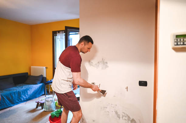 Best Kitchen Mold Remediation in Trenton, GA