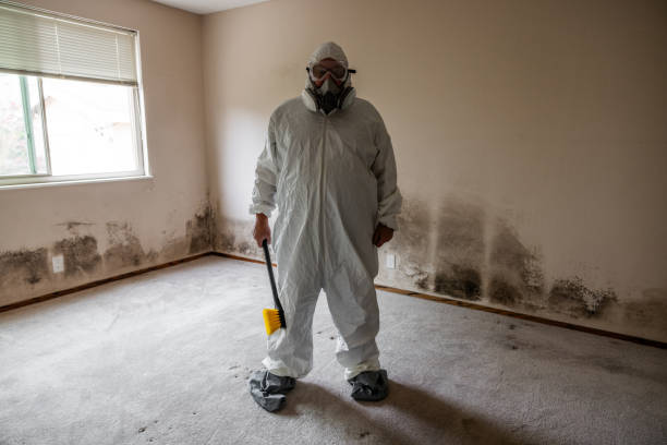 Best White Mold Remediation in Trenton, GA