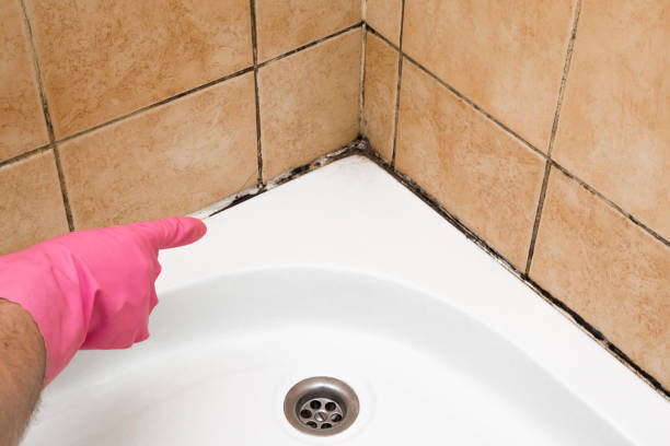 Best Mold Testing and Inspection Services in Trenton, GA